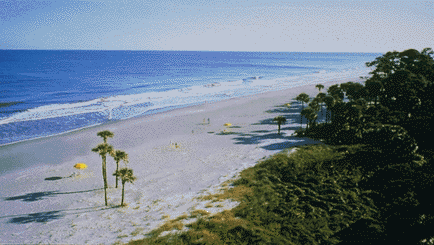 beach1.gif (41026 bytes)